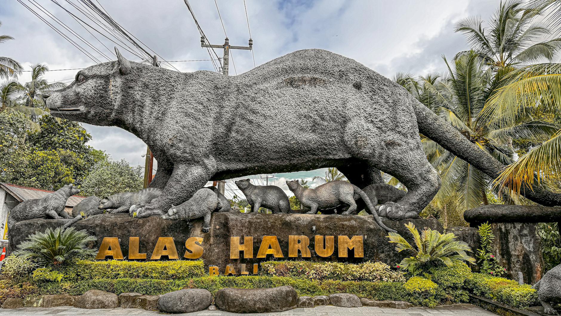 Tegallalang Rice Terraces