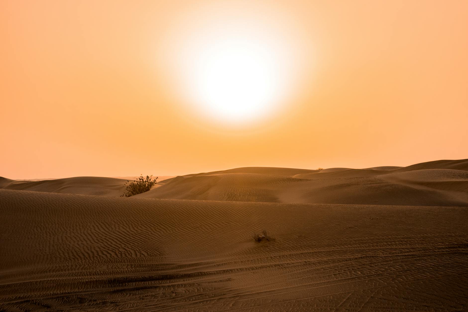 Golden desert sand dunes at sunset