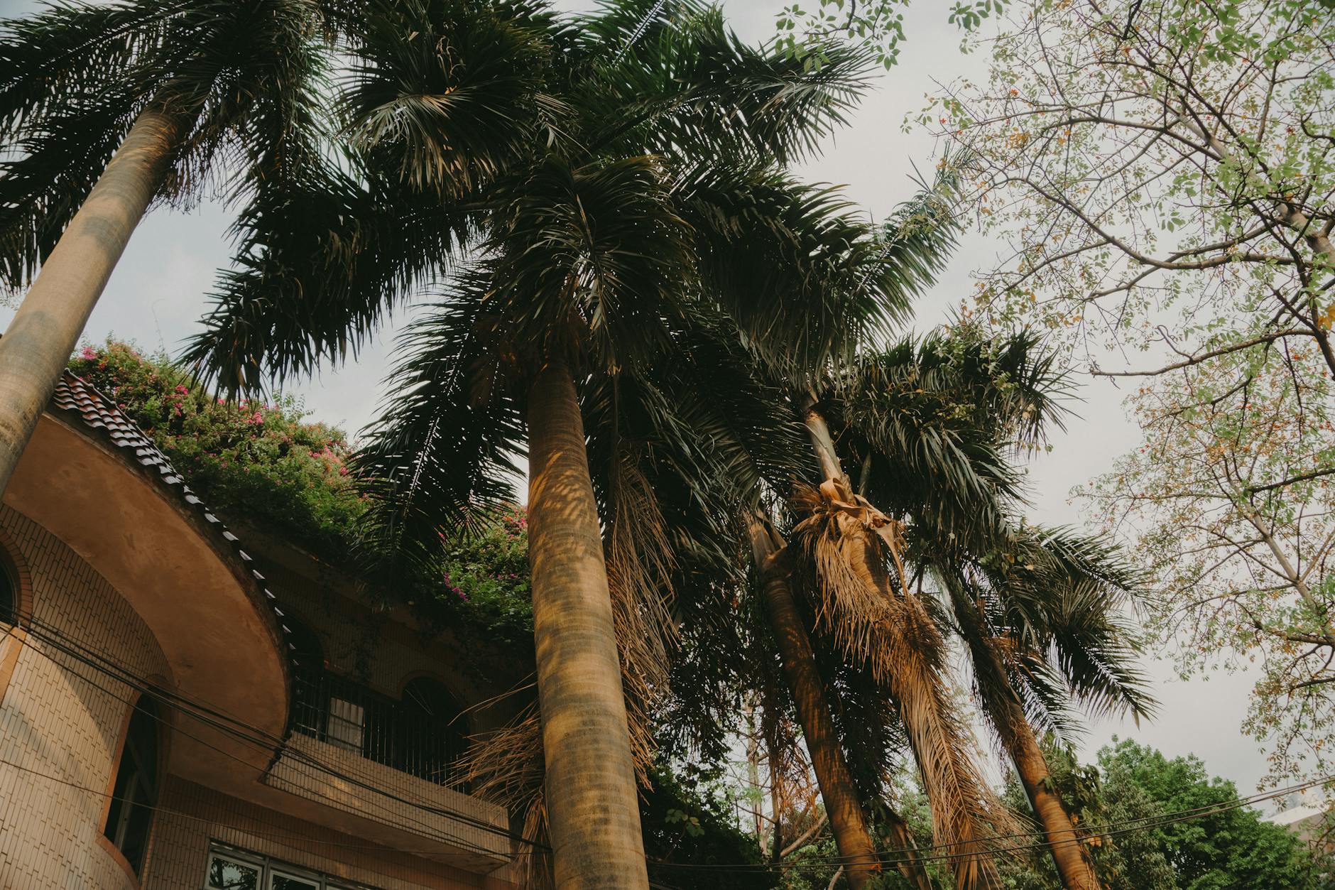Conghua (Hot Springs)
