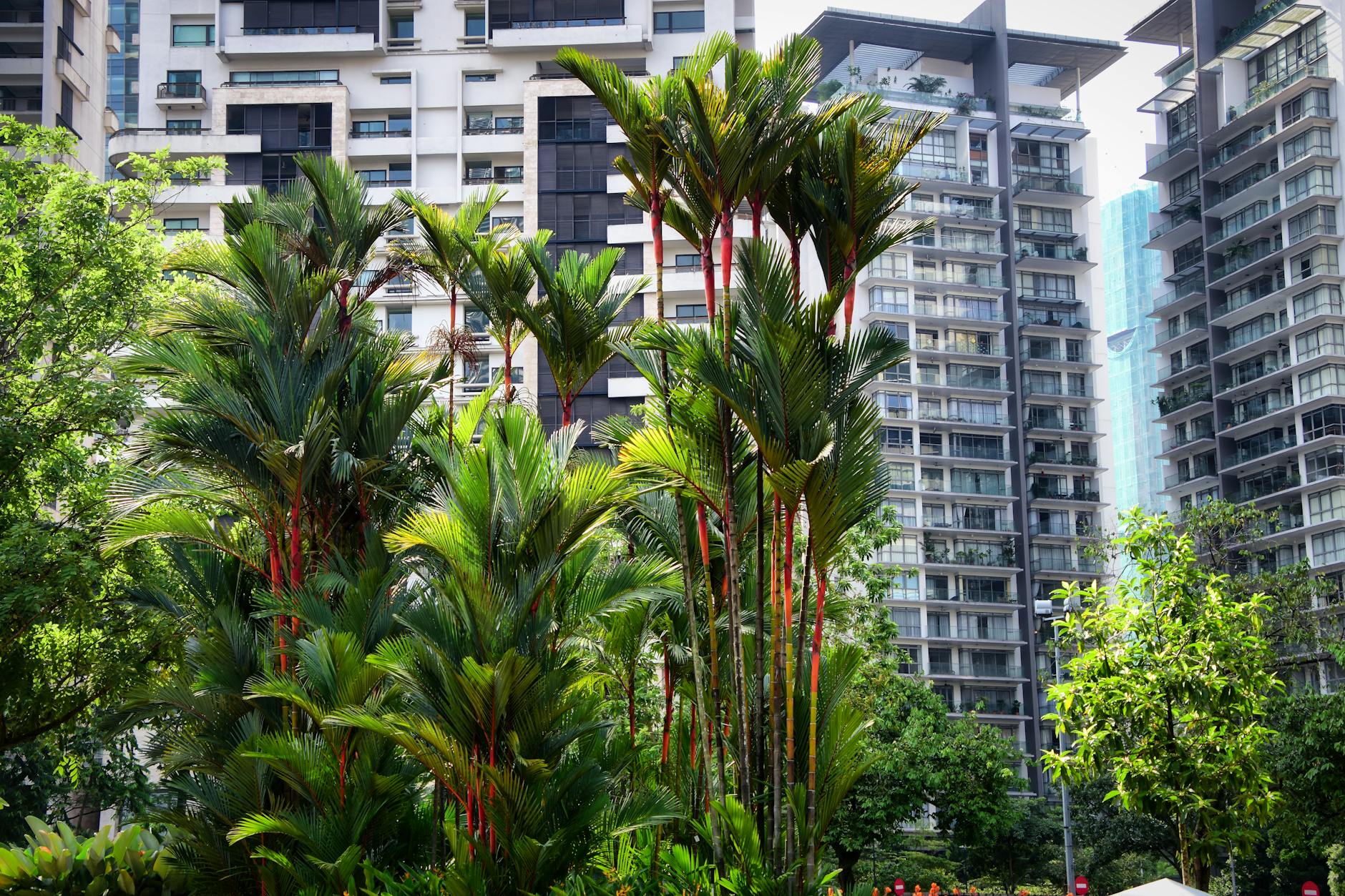 Petronas Twin Towers during day