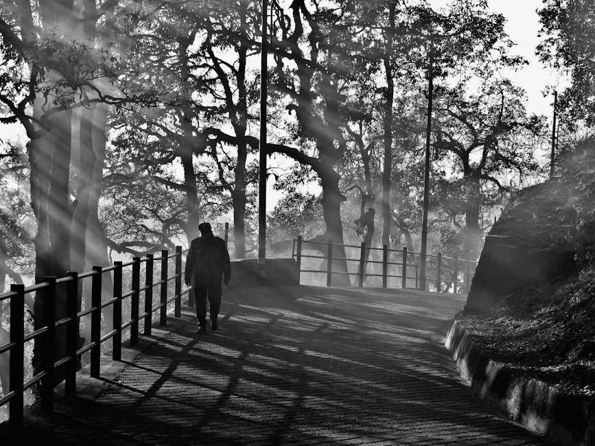 Mussoorie Attractions