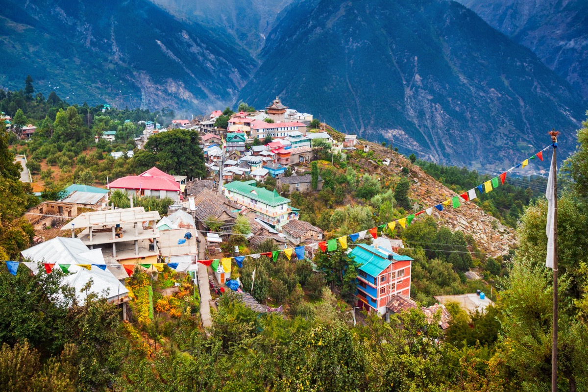 Jakhoo Hill & Upper Shimla by the Numbers