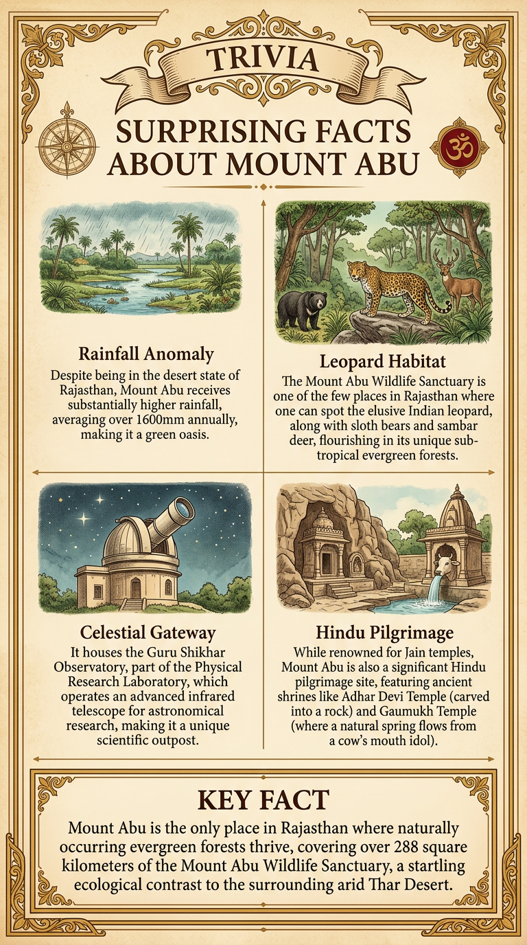 Surprising Facts About Mount Abu Infographic